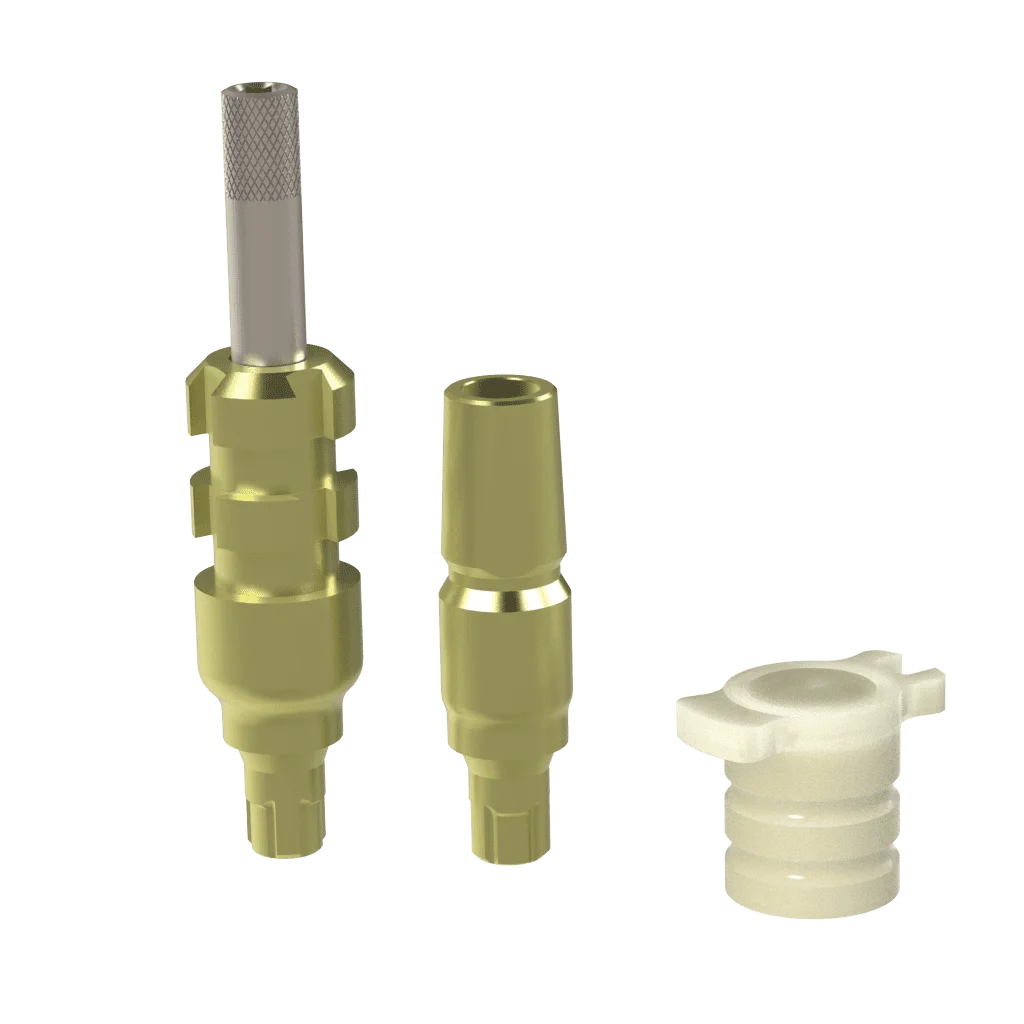 CL-CO-Abformung