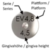 EV-GF