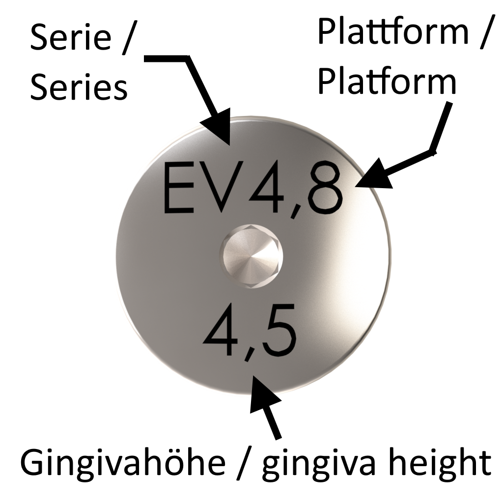 EV-GF