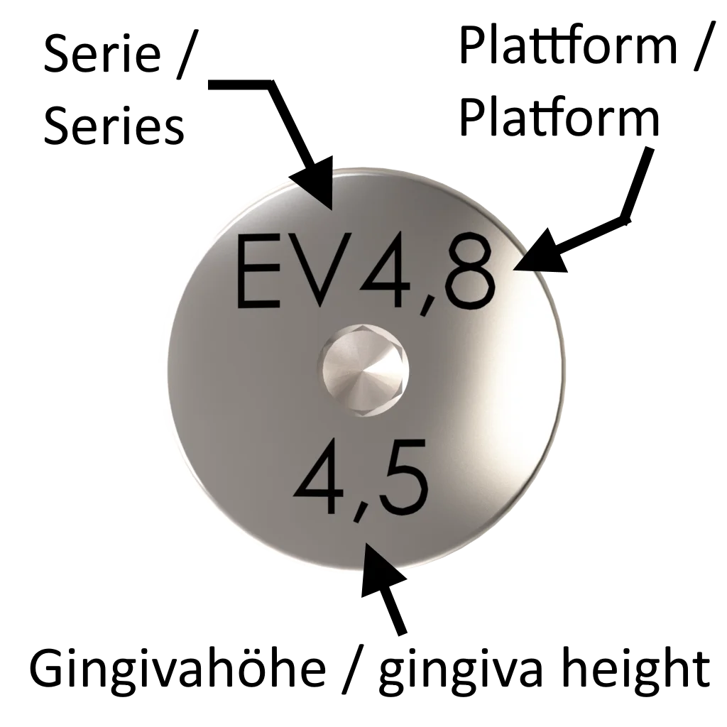 EV-GF