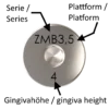 ZMB-GF