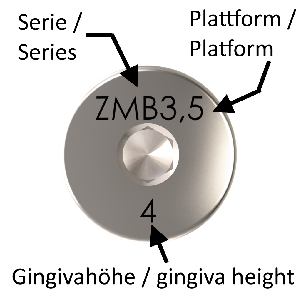 ZMB-GF