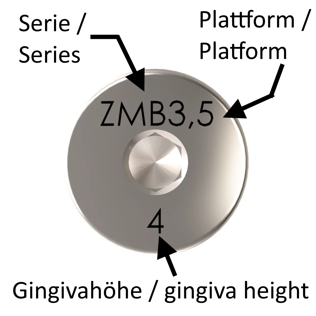 ZMB-GF