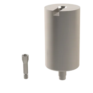 Moncone Pre-Mill per Straumann® - Bone Level